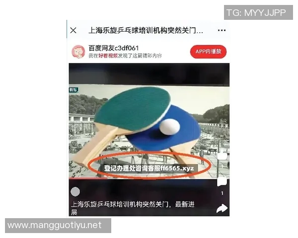 2026年3月份新闻从零基础到高手之路乒乓球技巧与心态全面提升指南